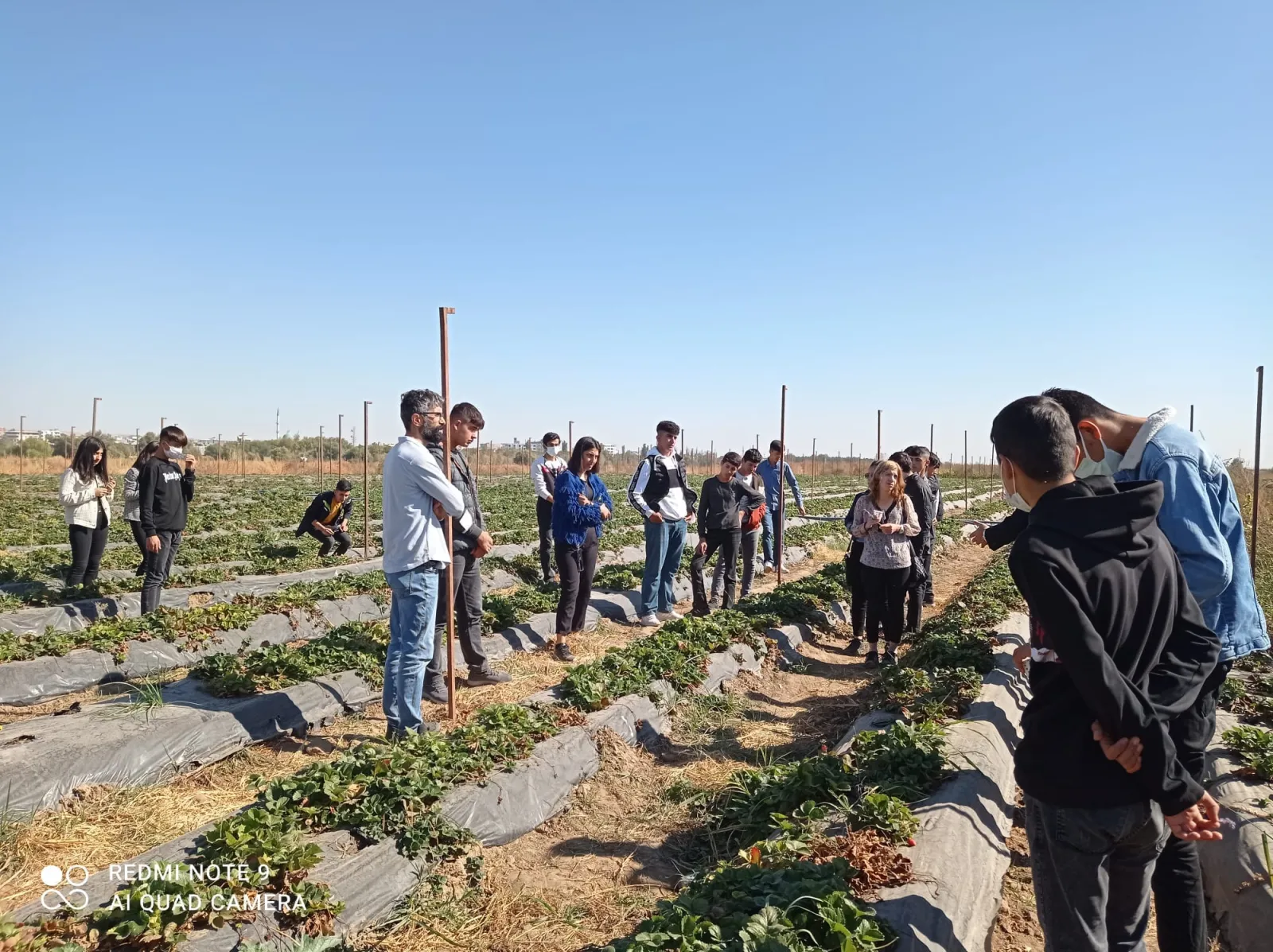 Dicle Üniversitesi’nden Bismil Ovası’na Bilimsel Tarım Desteği - Fotoğraf Galerisi 1